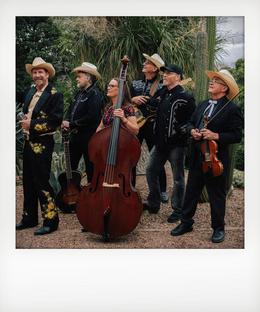 Meanwhile...Back at The Ranch