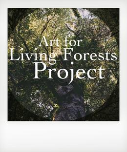 Art for Living Forests Project - live music, visual arts, and environmental conversation - part of Adelaide Climate Action Week